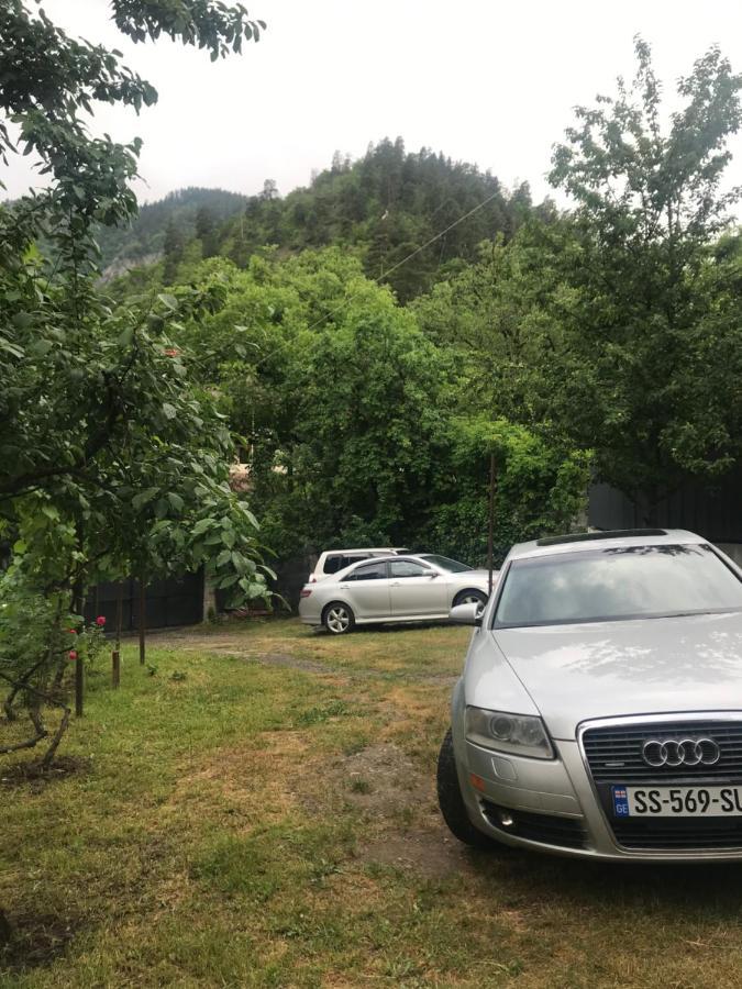 Zviad Guest House 보르조미 외부 사진