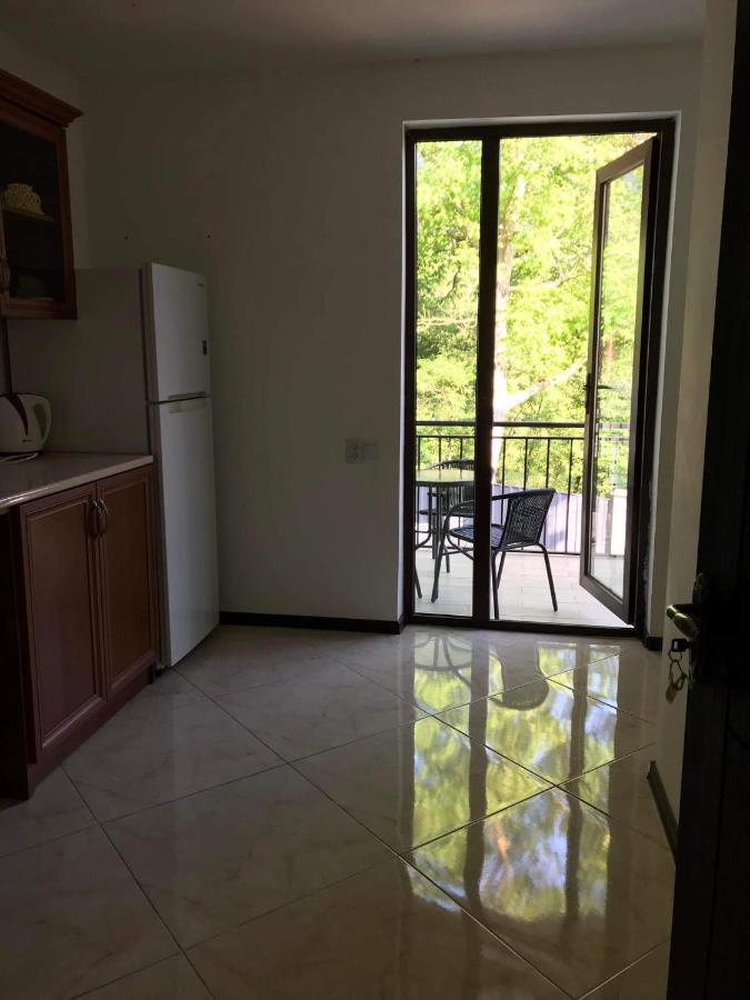 Zviad Guest House 보르조미 외부 사진