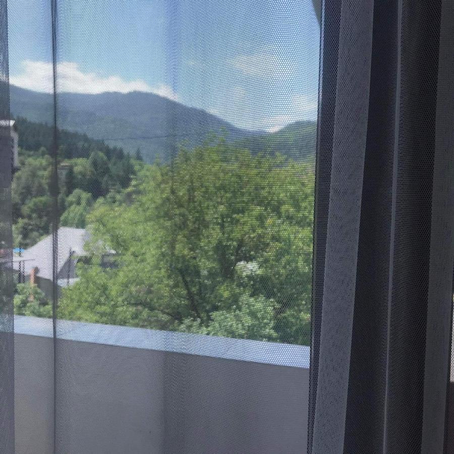 Zviad Guest House 보르조미 외부 사진