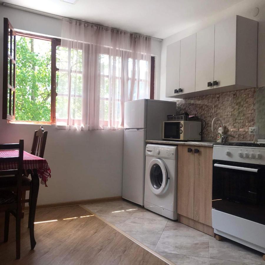 Zviad Guest House 보르조미 외부 사진