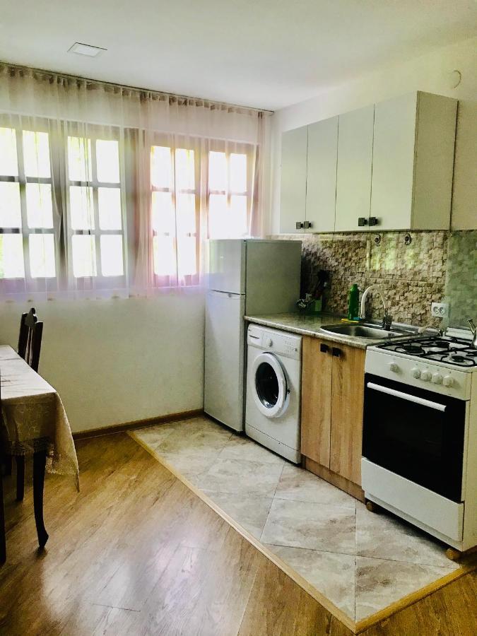 Zviad Guest House 보르조미 외부 사진