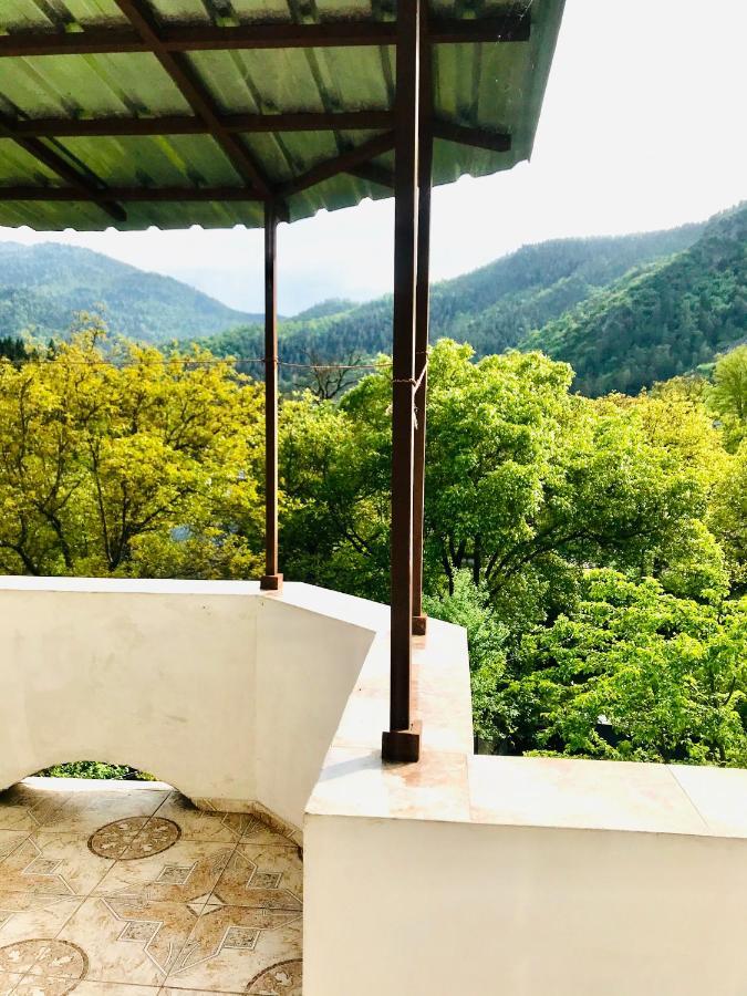 Zviad Guest House 보르조미 외부 사진