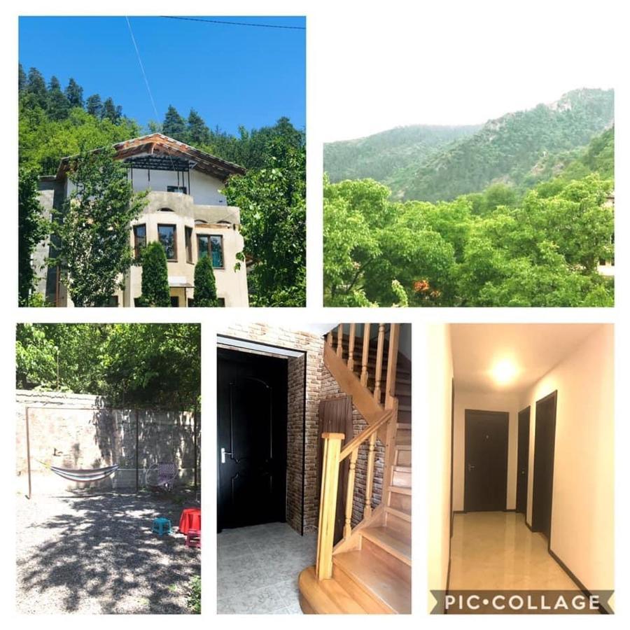 Zviad Guest House 보르조미 외부 사진