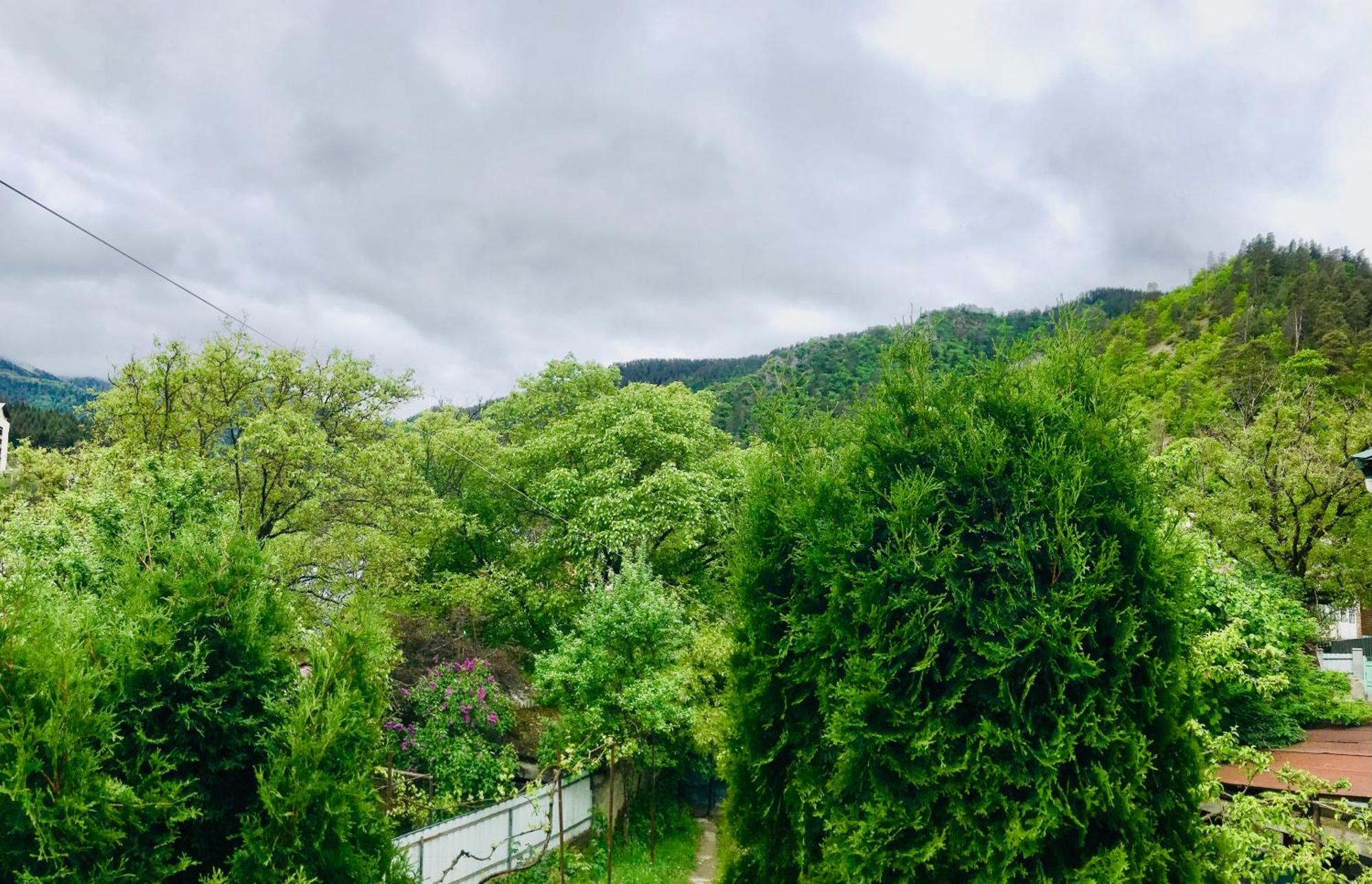 Zviad Guest House 보르조미 외부 사진