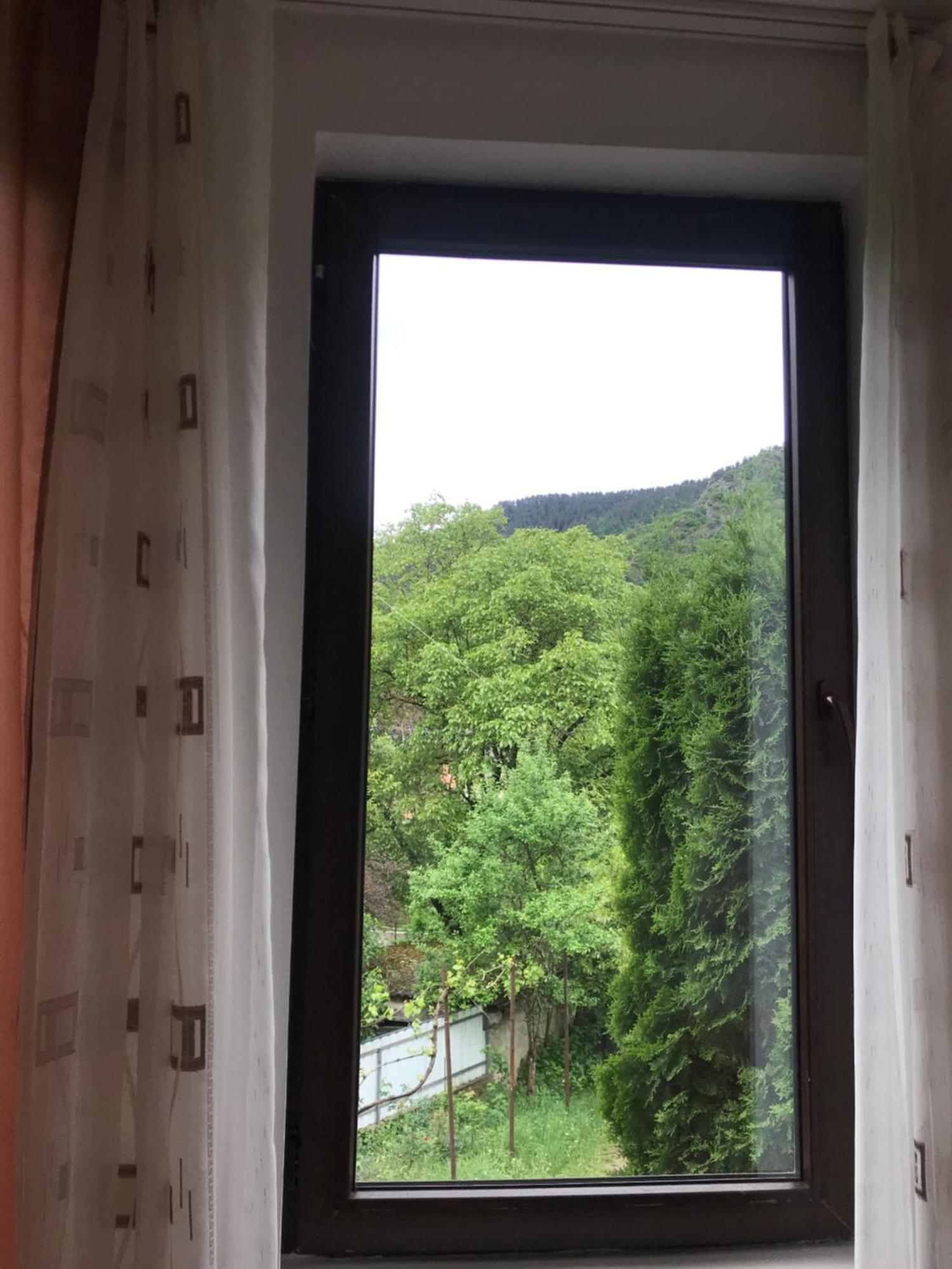 Zviad Guest House 보르조미 외부 사진
