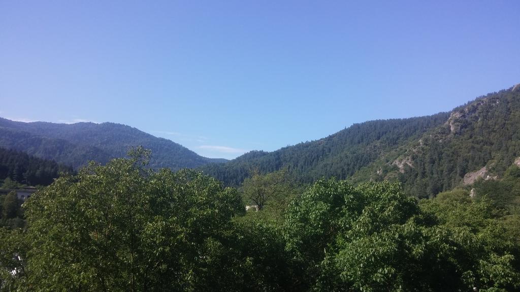 Zviad Guest House 보르조미 외부 사진