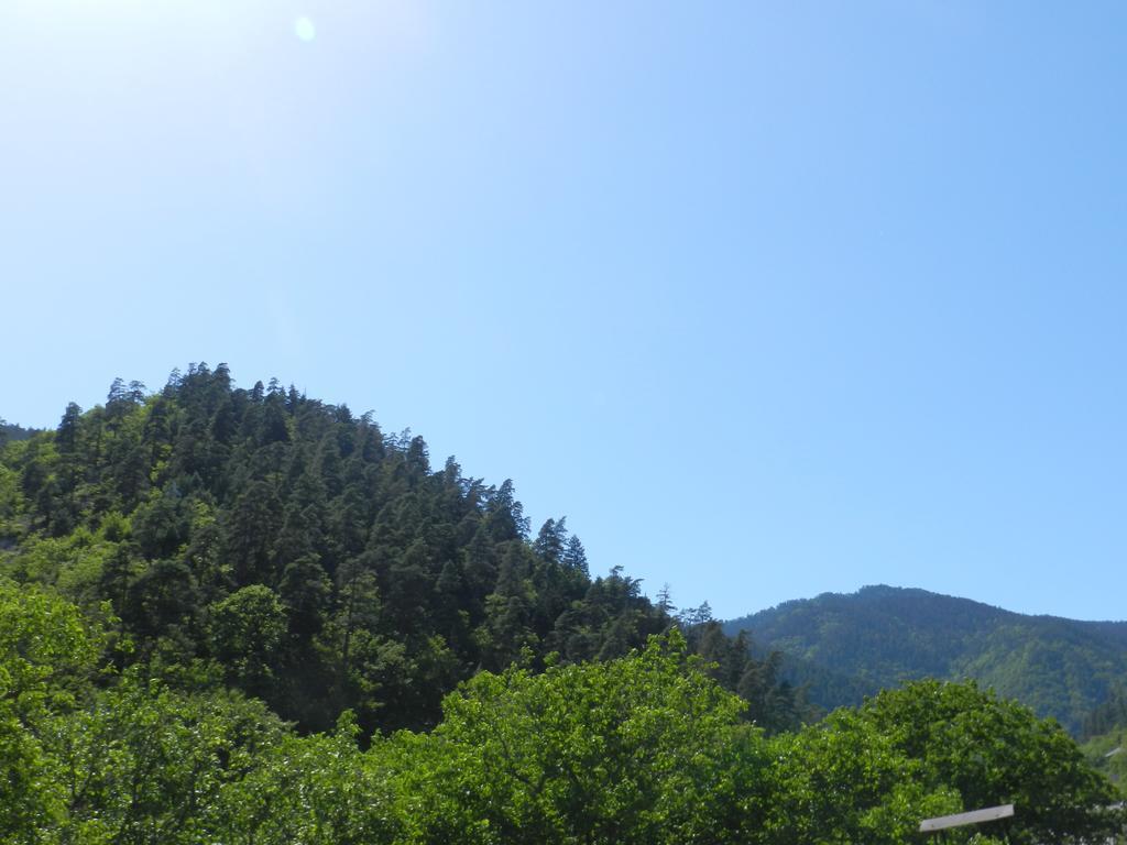 Zviad Guest House 보르조미 외부 사진